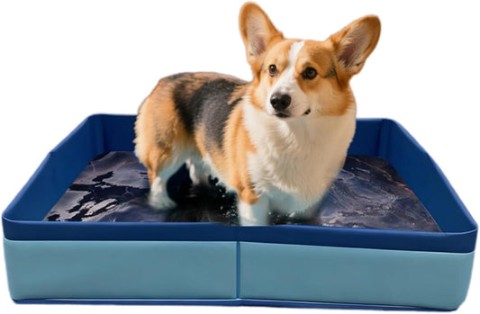 Collapsible Reptile Bathtub Pool Foldable Pet Pool (20/20/4 Inch, Square)
