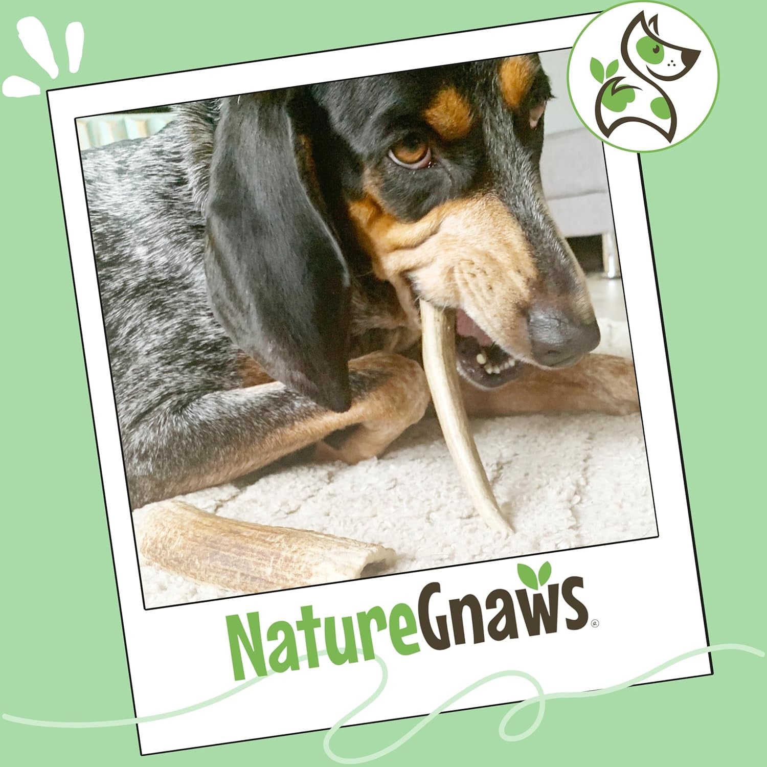 Nature Gnaws Antlers for Dogs (8Oz) - Mix of Elk and Deer Antler - Variety of Split and Whole Pieces - Long Lasting for Aggressive Chewers and Large Dogs