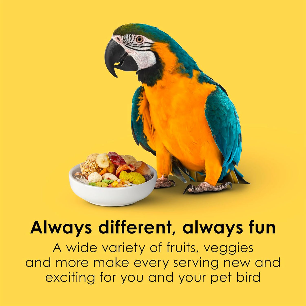 Kaytee Fiesta Macaw Food, Nutritious and Fun Blend, 4.5 Pounds