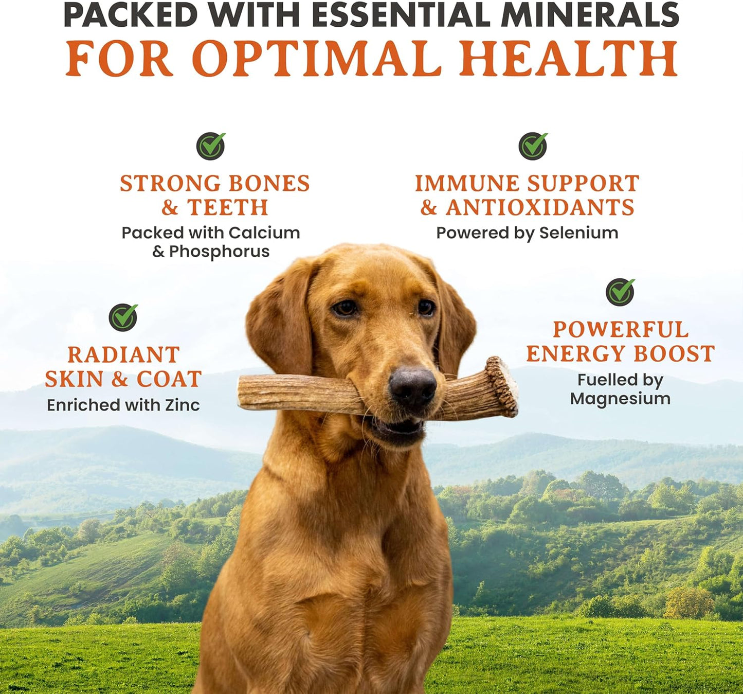 Alpha Dog Nutrition Elk Antler Chews (Large, Whole)