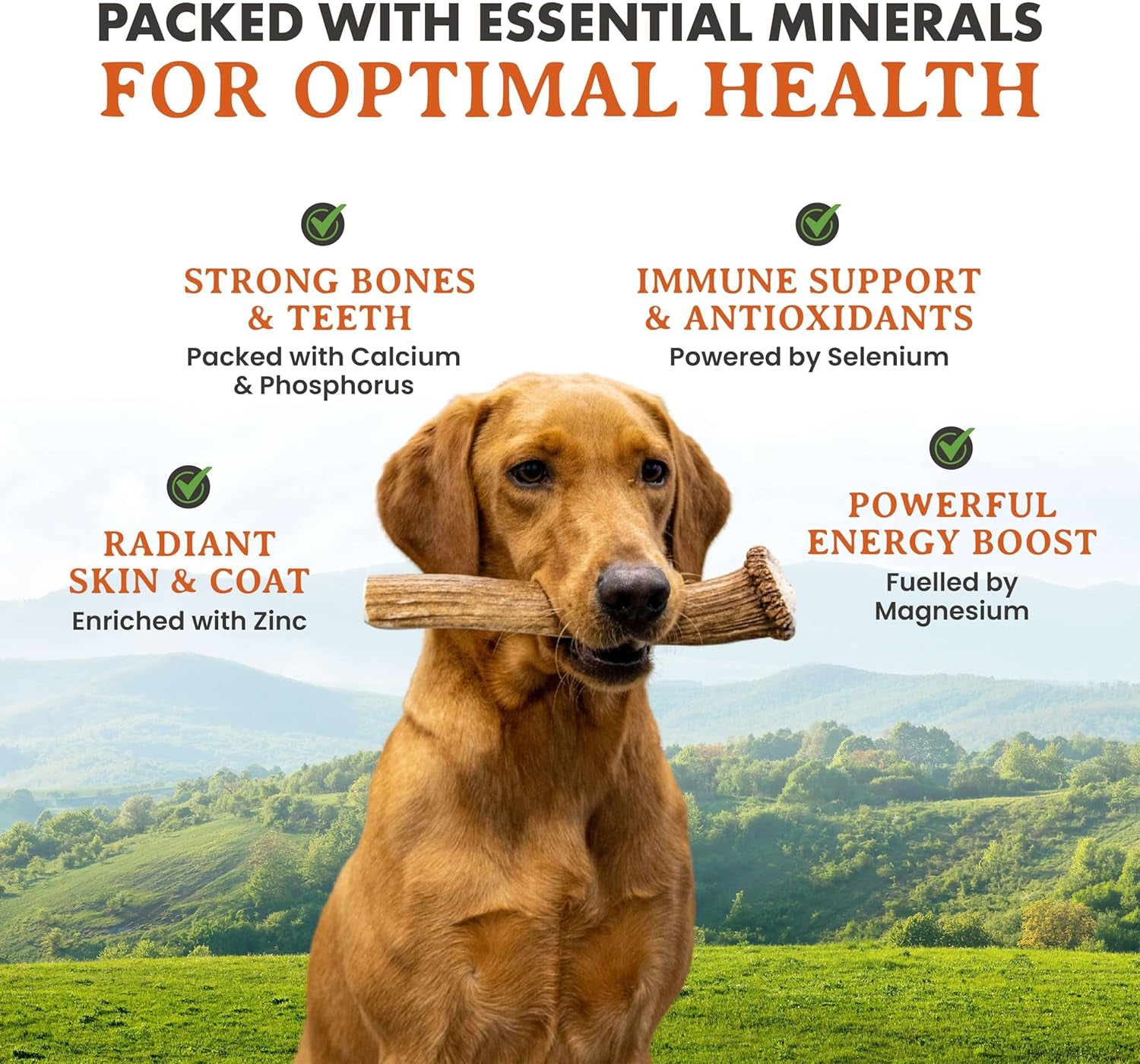 Alpha Dog Nutrition Elk Antler Chews (Large, Whole)