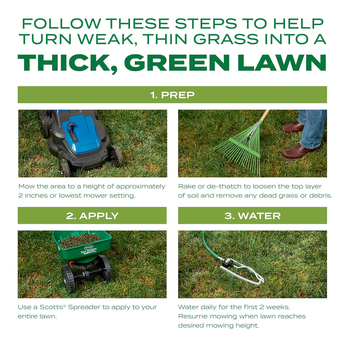 Scotts Turf Builder THICK'R Lawn Tall Fescue Mix, 12 Lb.