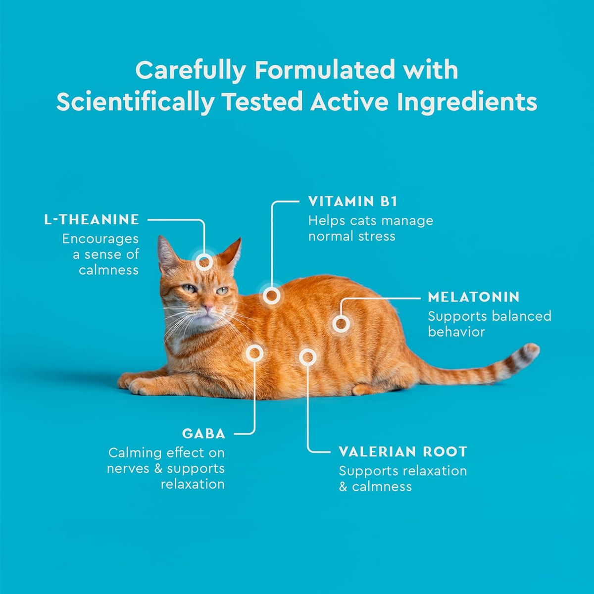 Vetiq Cat Calming Treats, Melatonin & Ashwagandha, 3.7Oz