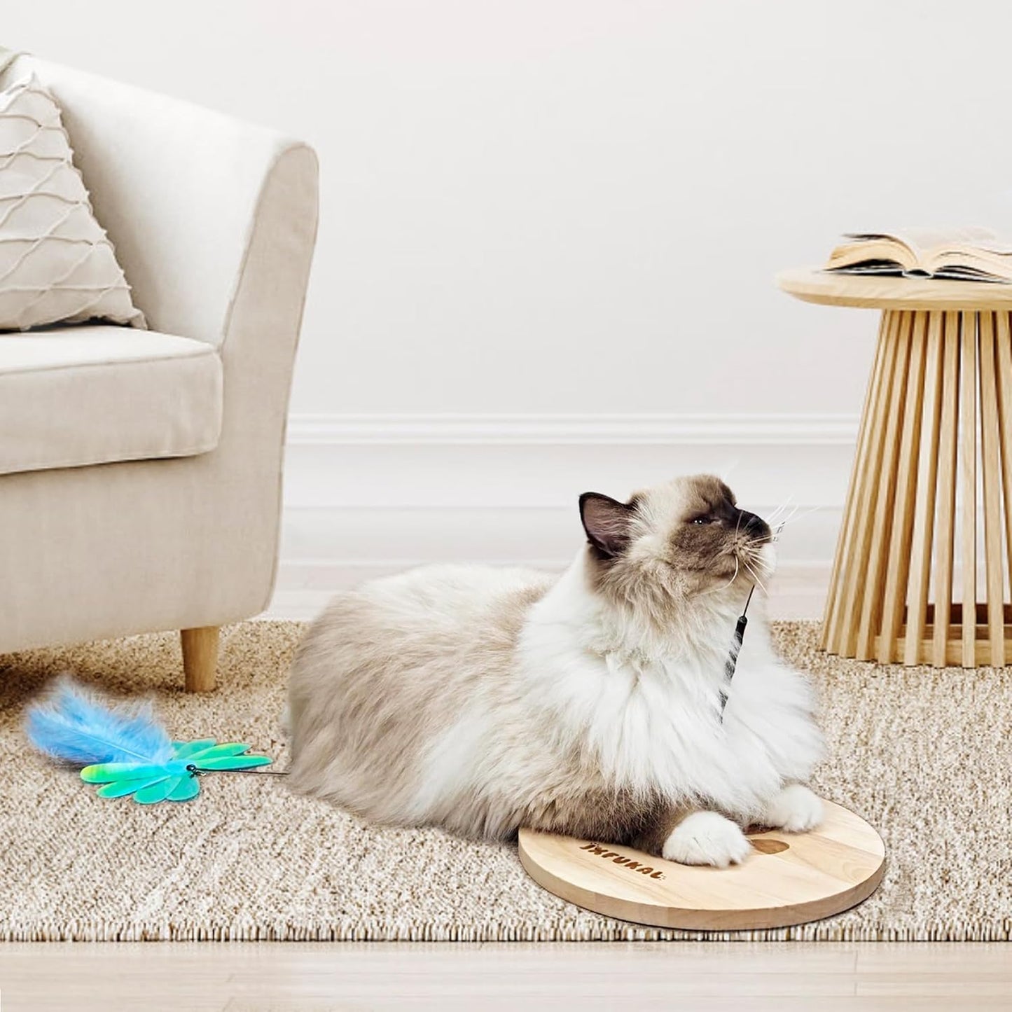 JXFUKAL Interactive Cat Toy, Automatic Cat Wand Toy with Stable Wooden Base, 2 PCS Detachable Cat Teaser, 5PCS Refills Replacement & Hanging Elastic String, Kitty Kitten Toys Feather Spring Bird Toy