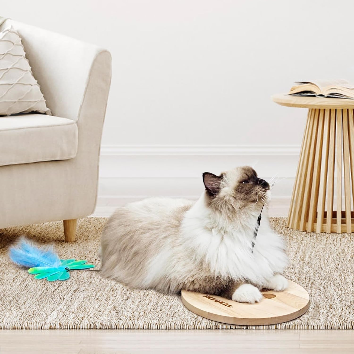 JXFUKAL Interactive Cat Toy, Automatic Cat Wand Toy with Stable Wooden Base, 2 PCS Detachable Cat Teaser, 5PCS Refills Replacement & Hanging Elastic String, Kitty Kitten Toys Feather Spring Bird Toy