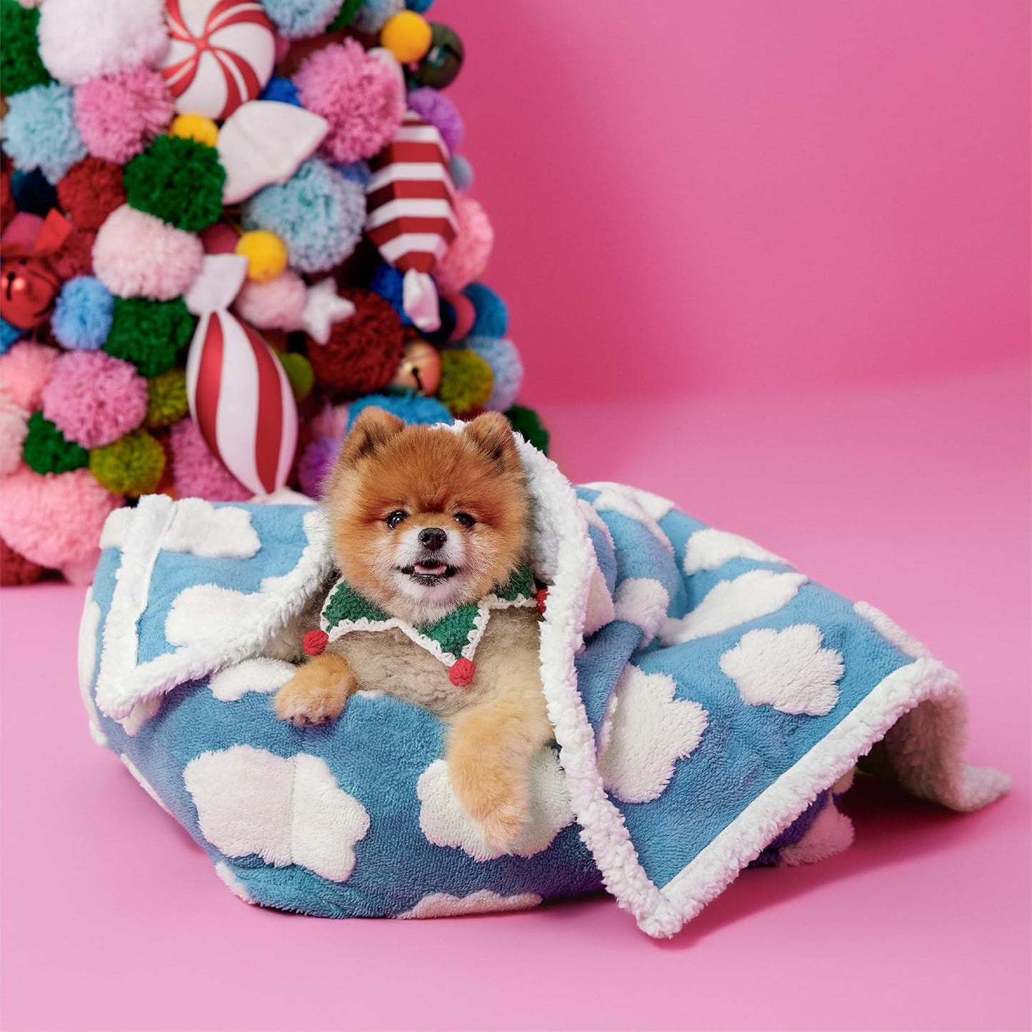 LE SURE Waterproof Puppy Blanket for Small Dogs - Washable Double Sided Dog Blankets with Warm Jacquard Shag and Soft Sherpa Fleece, Pet Cat Blanket for Couch Protection, 3D Textured Cloud, Blue