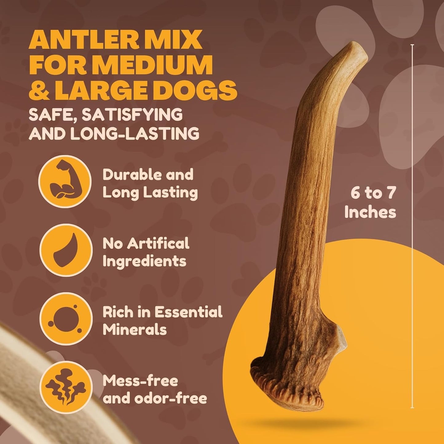 Whitetail Naturals Deer Antlers for Dogs (1 Lb Bulk Pack) Premium Antler Chews for Medium to Large Dogs – Grade A, Wild Sourced & Naturally Shed (Approx. 4-5 Count)