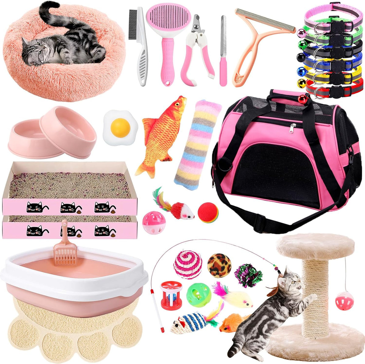 Kitten Starter Kit - 37 Pcs of Cat Essentials for Indoor Kittens