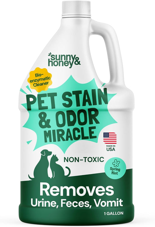 Sunny & Honey Carpet Cleaner Spray, Enzyme Pet Stain Remover, 1 Gal, Mint