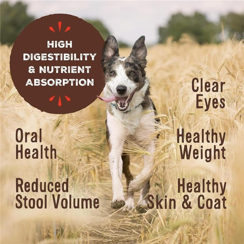 Primal Freeze Dried Dog Food Nuggets, Chicken; Complete Balanced Meal, Topper or Treat; Premium, Healthy, Grain Free, High Protein Raw Dog Food, 14 Oz