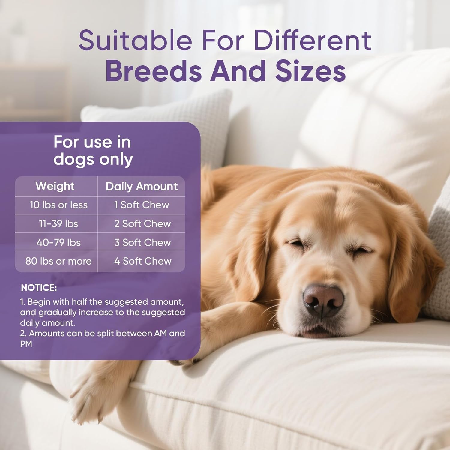 Calming Chews for Dogs 200Pc Dog Calming Treat and Bites with Melatonin - Anxiety and Stress Relief Treats for Dogs Puppy Sleep Aid Calm Dog with Noise,Thunder, Barking, Separation,Chewing