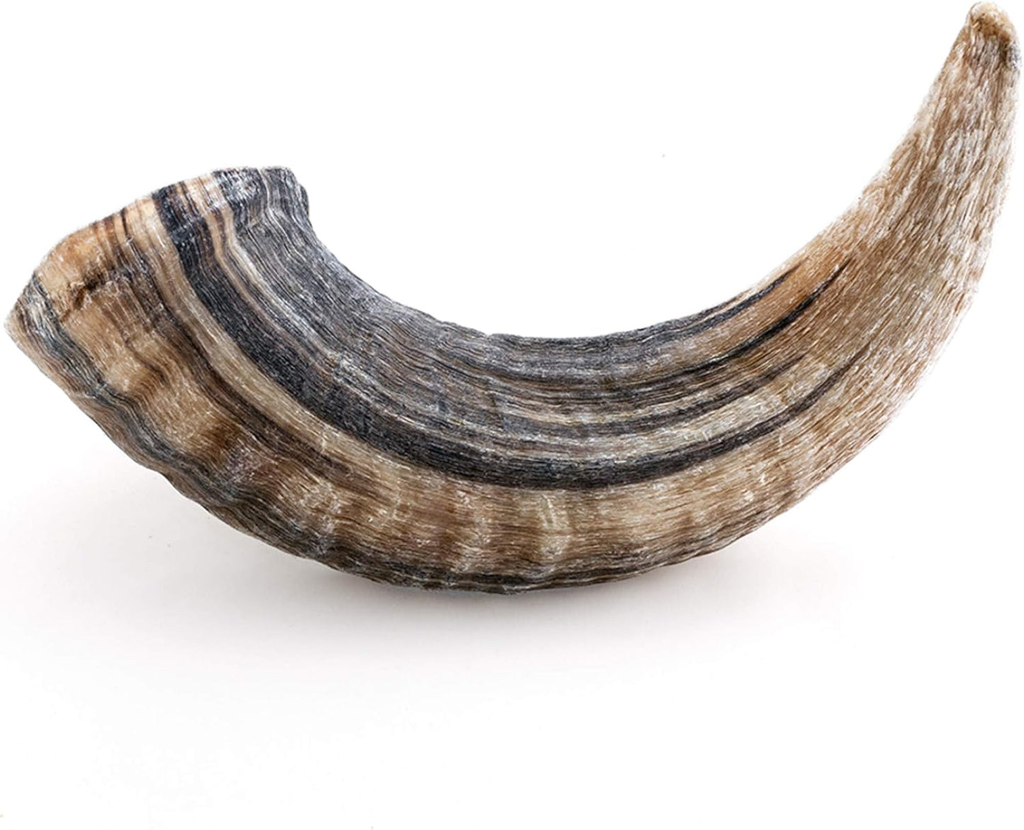 Icelandic+ Lamb Horn - Large - 7" Dog Chew, Long-Lasting Crunchy Treat, Medium & Large Dogs, Keratin, All-Natural, Pet Snack, Edible & Digestible