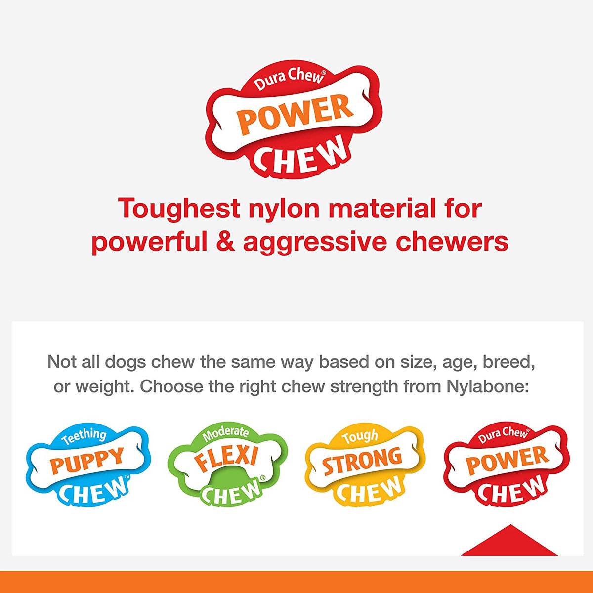 Nylabone Lobster Power Chew Toy for Dogs, Dog Toys for Aggressive Chewers