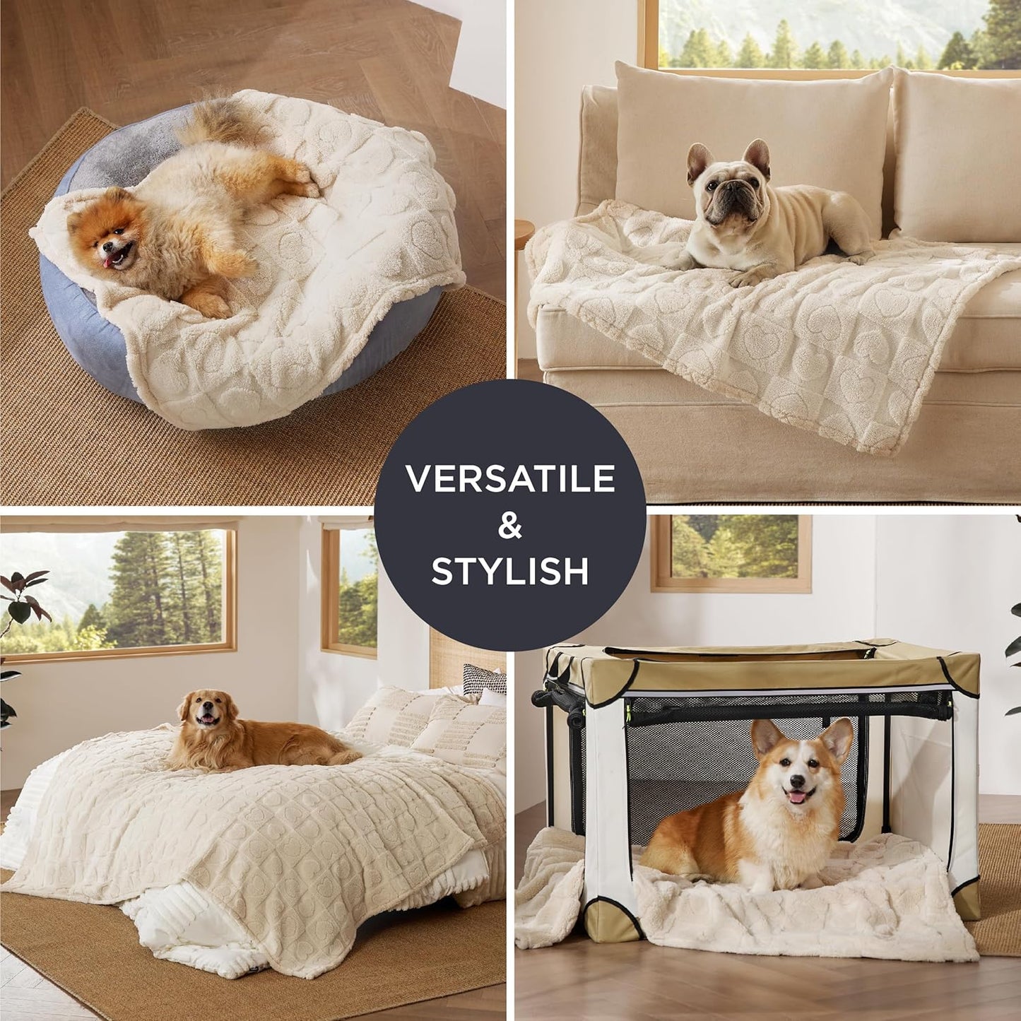 Bedsure Dog Blankets for Small Dogs Washable - Fluffy Fuzzy Cat Puppy Blanket with Premium 300GSM Coral Fleece Soft for Pet Kitten Doggy, White, 25X35In