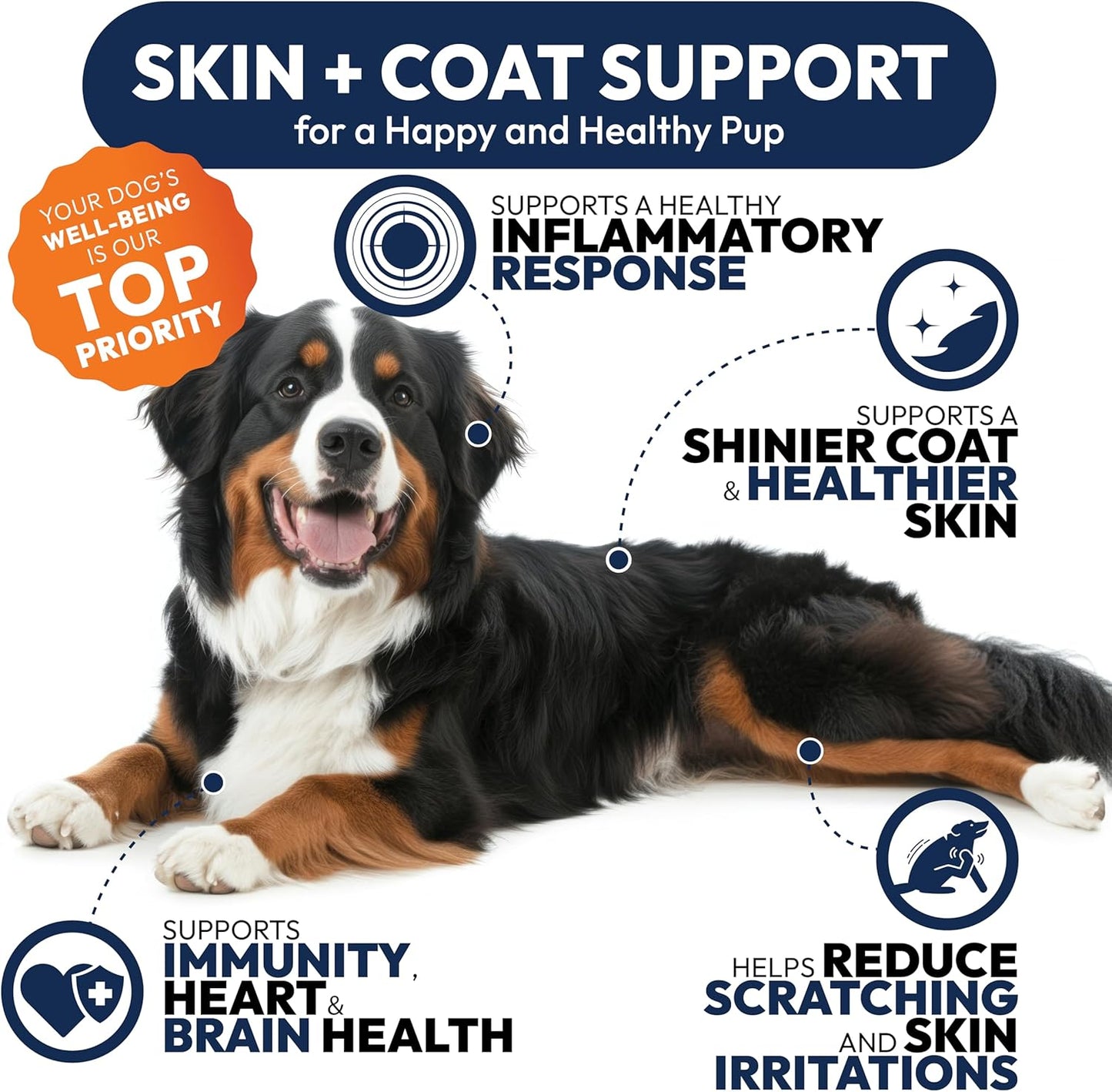 Omega 3 for Dogs - 250 Fish Oil Chews for Dog Shedding, Allergy & Itch Relief, Hot Spot Treatment - Advanced Skin & Coat Supplement - Joint Health - EPA & DHA Fatty Acids - Salmon Oil & Probiotics