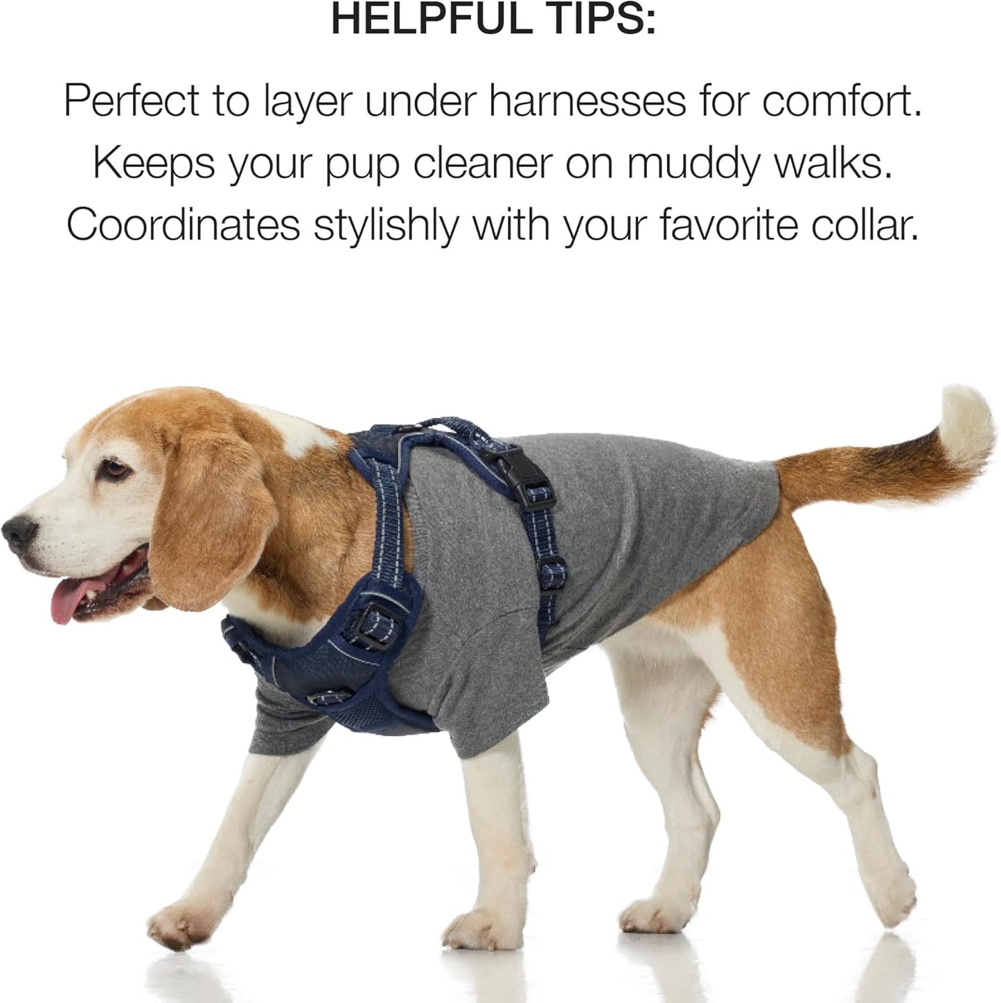 Pet Passion Toby II - the Perfect Tee, 8 Pack Short Sleeve Pet T-Shirt 100% Organic Cotton Tees Clothes for Small, Medium, Large Dogs, Rainbow Blue, Small
