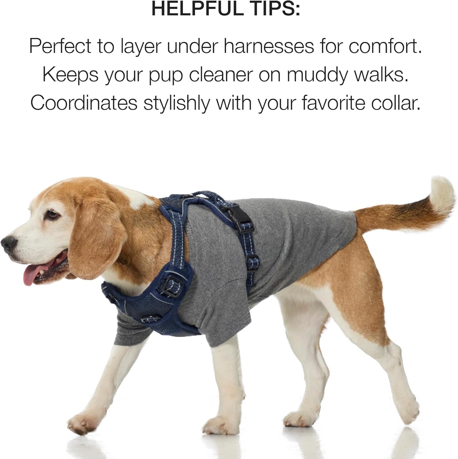 Pet Passion Toby II - the Perfect Tee, 8 Pack Short Sleeve Pet T-Shirt 100% Organic Cotton Tees Clothes for Small, Medium, Large Dogs, Rainbow Blue, Small