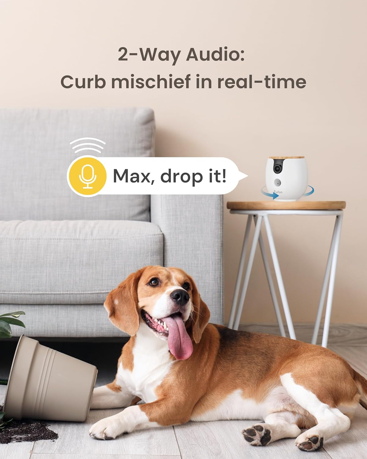 Furbo Mini 360° 2K QHD Pet Camera: Basic See, Talk & Toss Features, No AI Alerts, No Subscription Required, Dog & Cat Rotating Treat Dispenser W/Phone App, Smart Indoor Cam, 2-Way Audio & Night Vision