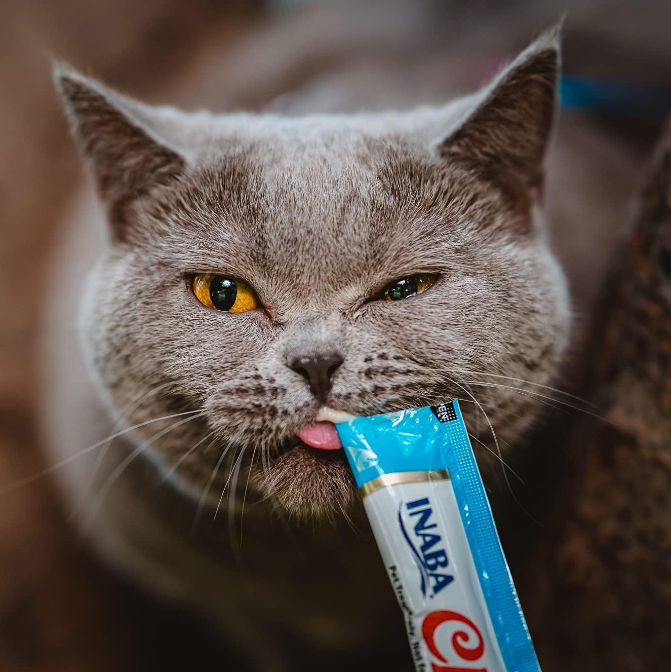 INABA Churu Lickable Purée Natural Cat Treats (Tuna Recipe, 4 Tubes)