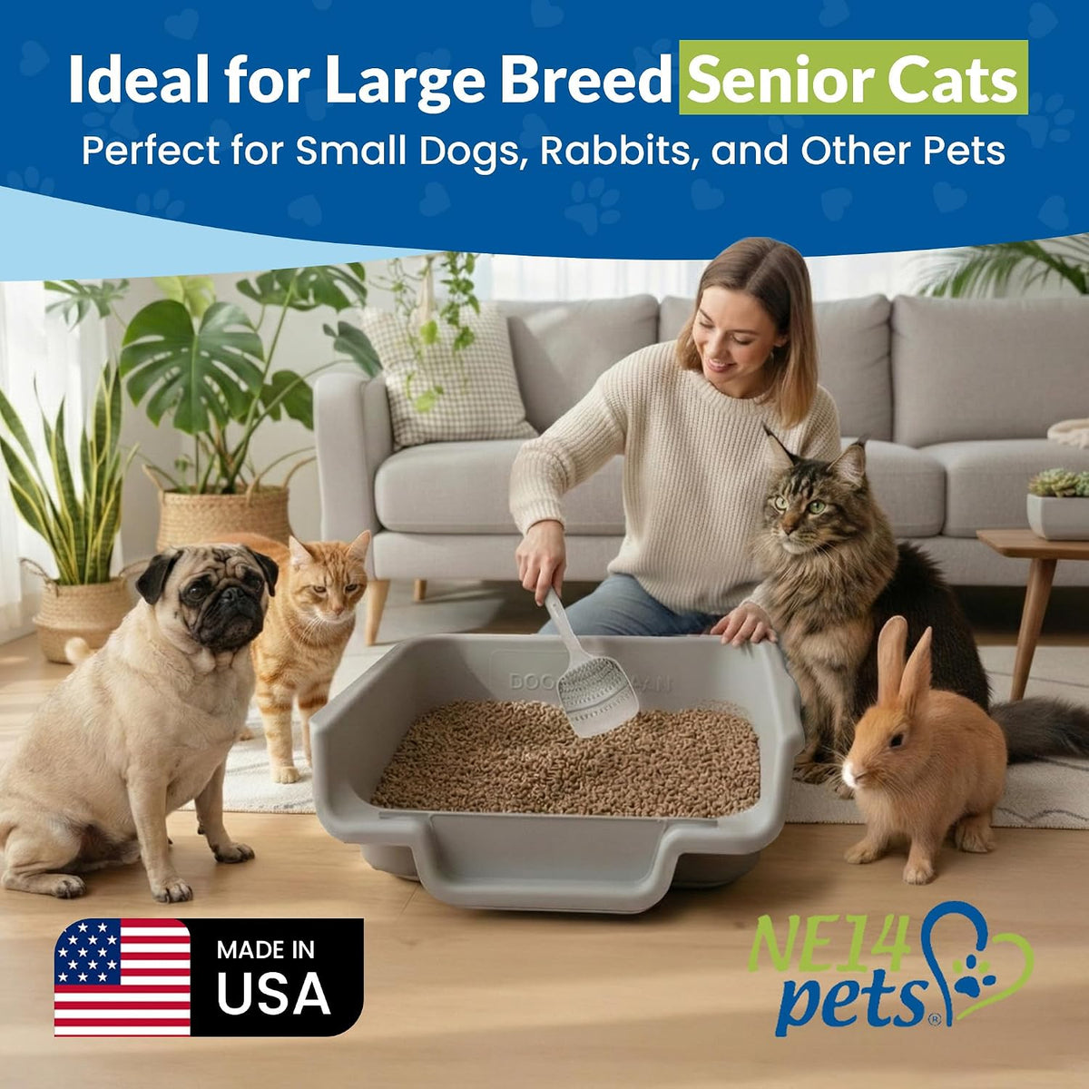 Kittygohere Senior Cat Litter Box Jumbo Low Entry Open Top, Misty Gray