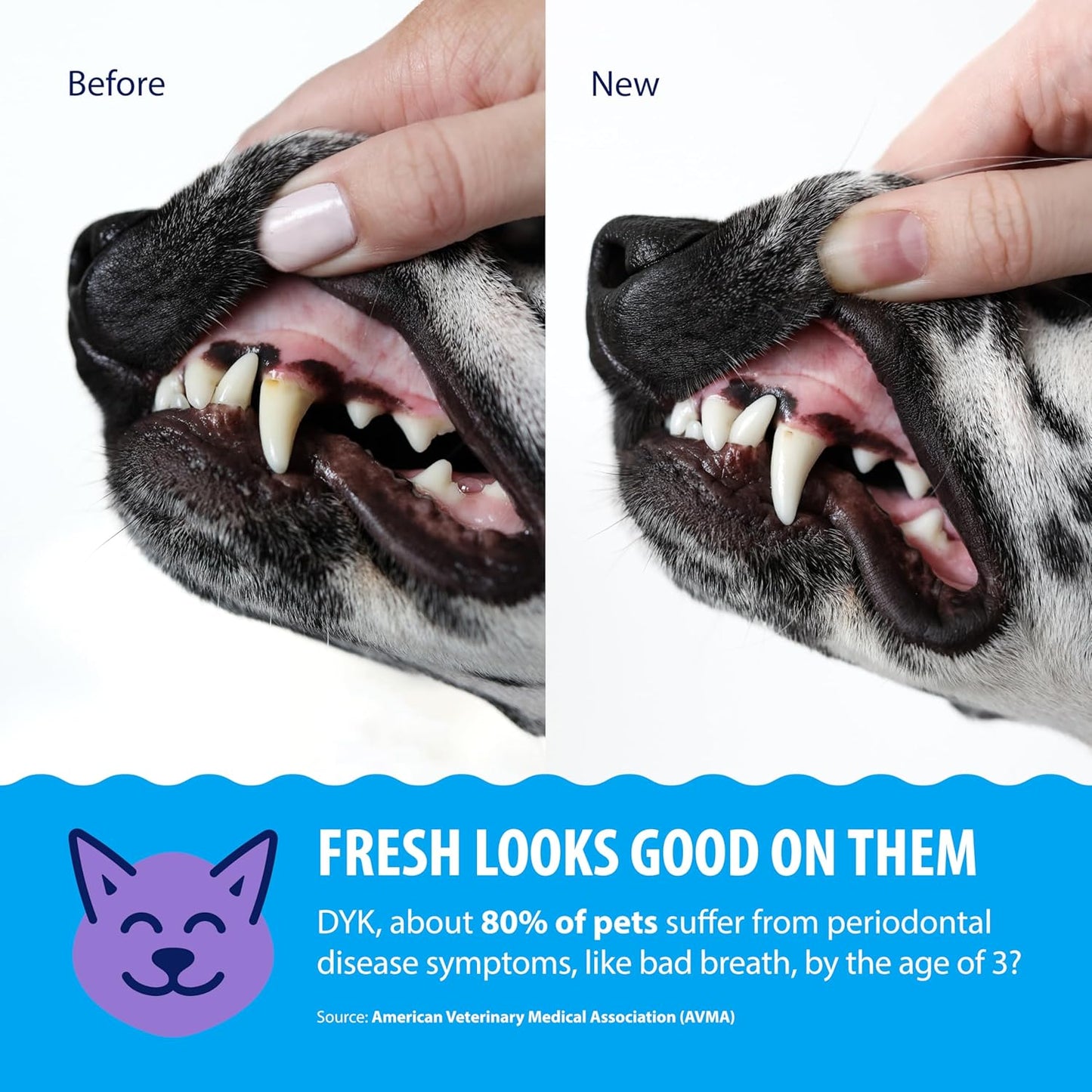 Dental Fresh – Advanced Plaque & Tartar Support Water Additive for Dogs & Cats – Helps Freshen Breath and Clean Teeth without Brushing – 17 Fl Oz