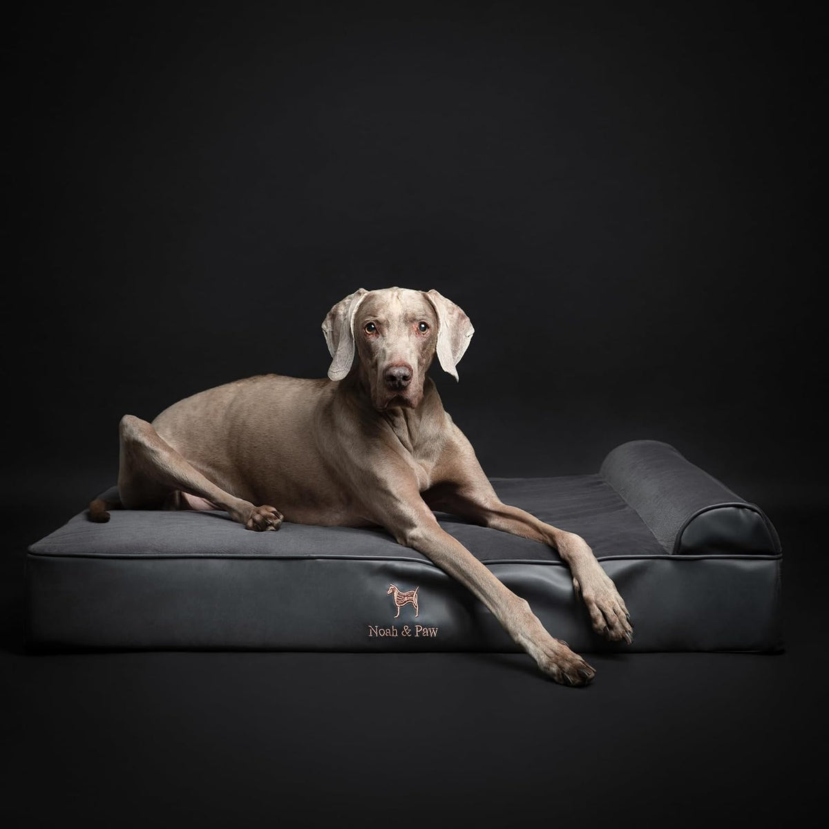 NOAH & PAW XL Dog Bed, 45X35X9.1 Inch, Orthopedic Large Dog Beds, Eggshell Memory Foam Infused with Cooling Gel, Water Resistant, Machine Washable, Includes Inner Cover