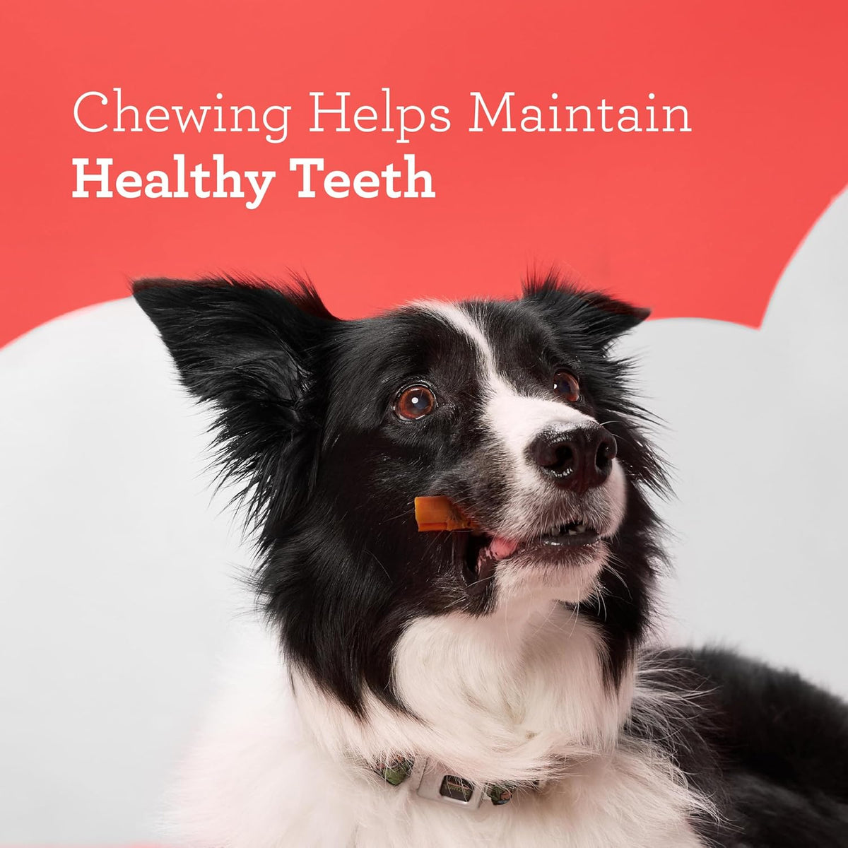 Dreambone Rattleball Chew Rawhide-Free Dog Treats, Real Protein, 14 Count