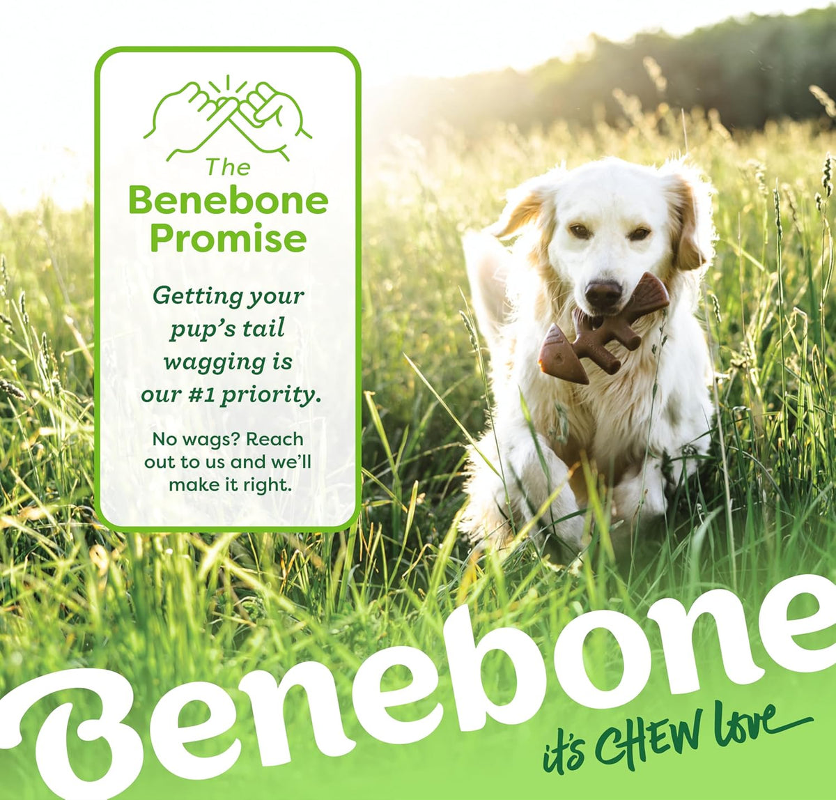 Benebone Fishbone Durable Dog Chew Toy for Aggressive Chewers, Medium