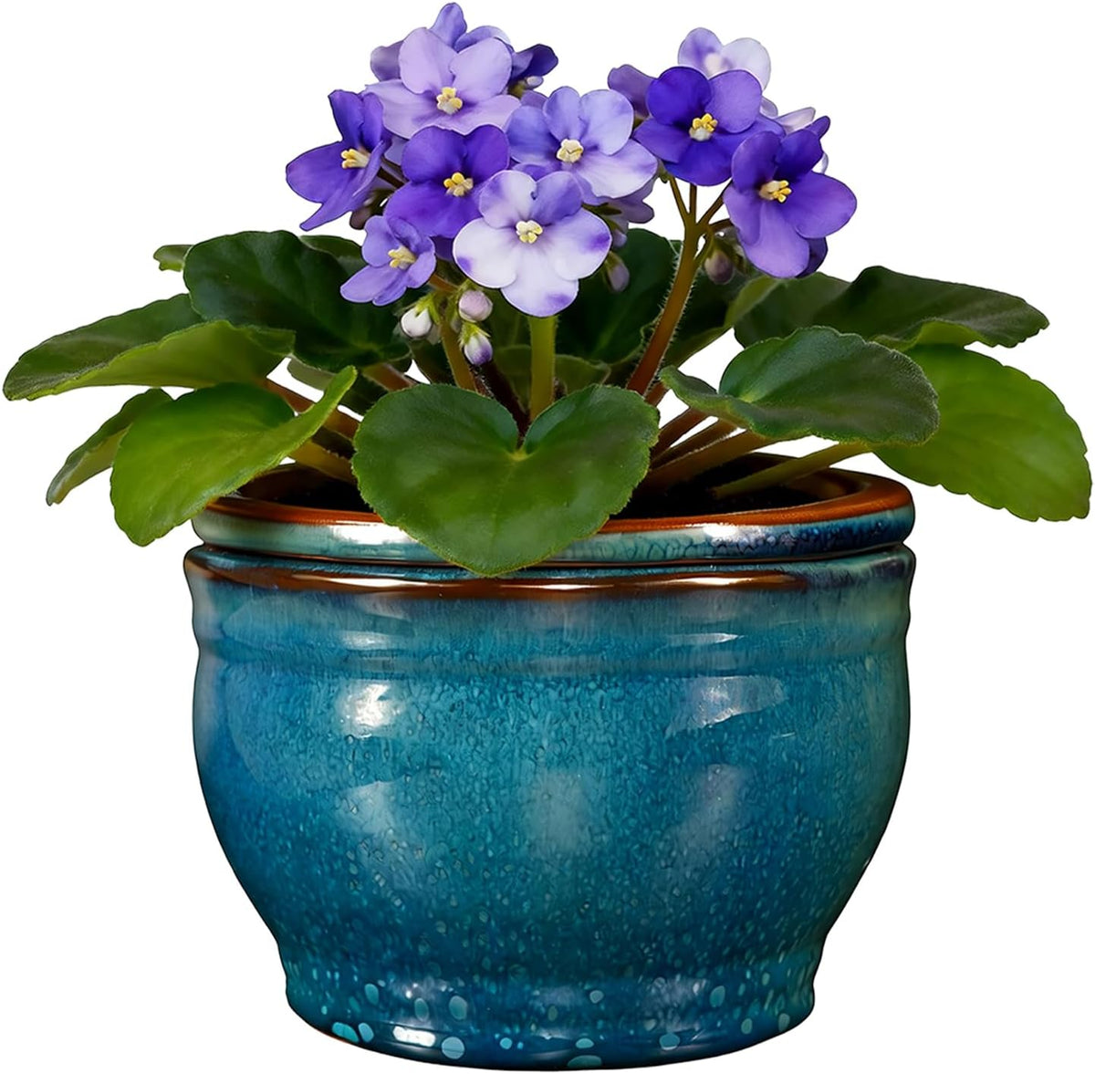 Self Watering Pot for African Violets Indoor Outdoor Plants, 6 Inch, Teal