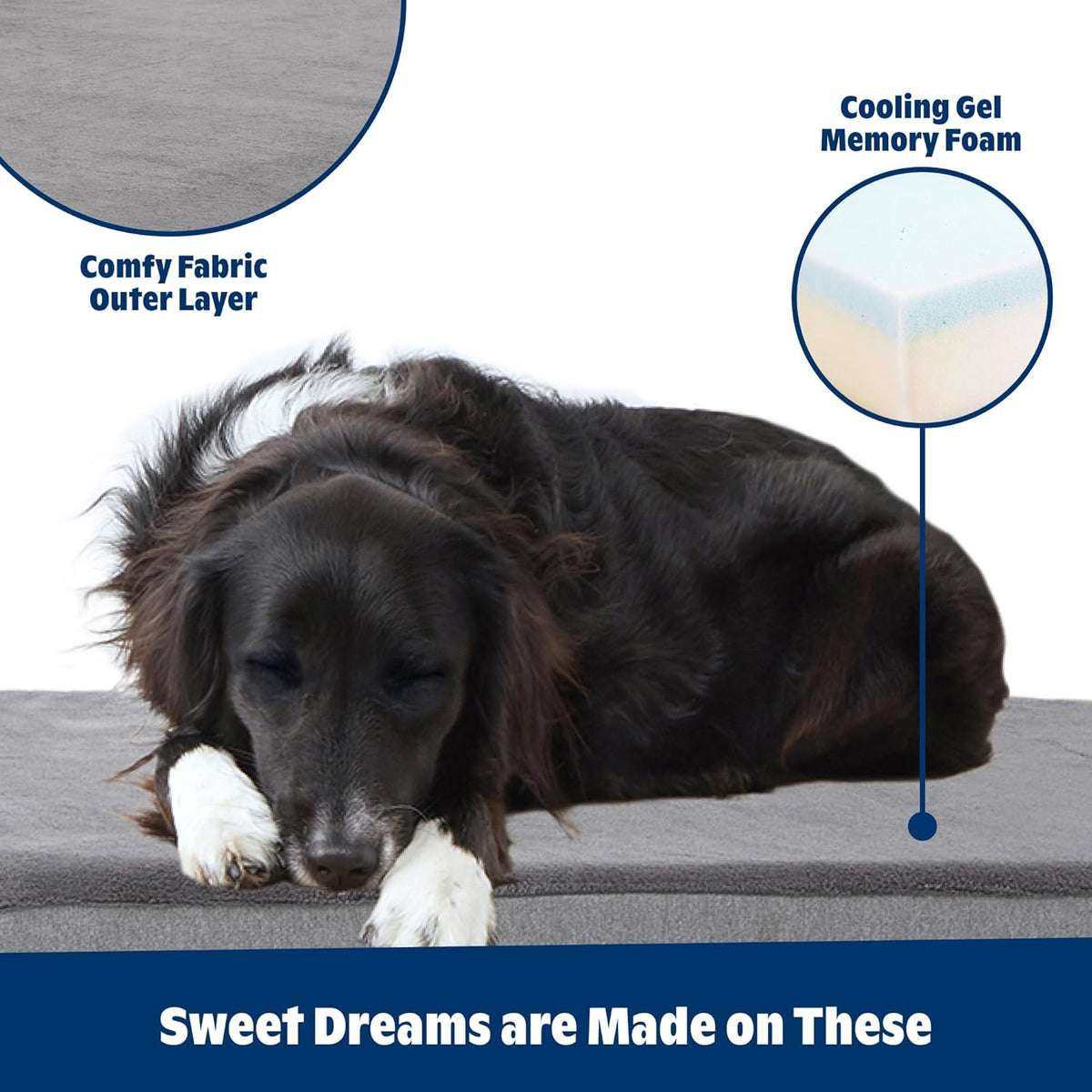 Barkbox Orthopedic Dog Bed - Medium