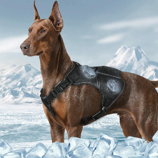 Climate Control Dog Vest Harness Cooling Heating Thermal Module for Pets