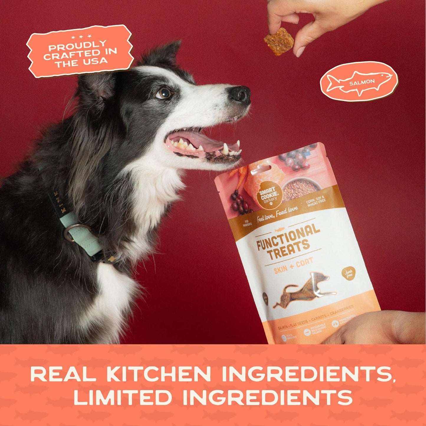 Smart Cookie All Natural Dog Treats - Healthy Skin & Coat Salmon Dog Treats - Ideal for Sensitive Stomachs or Itchy, Allergic, Dry Skin - Dehydrated, Crunchy, Human-Grade, Made in USA - 8Oz, Pack of 1