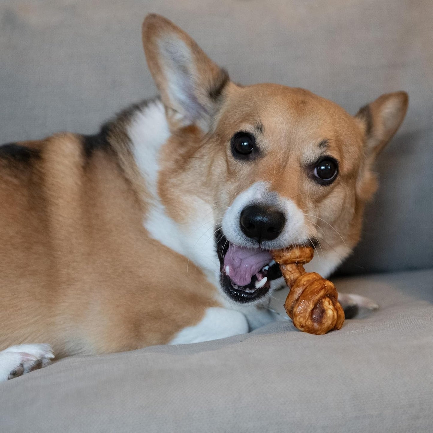 Nothin' to Hide Collagen-Based Dog Chews Small Knotted Bones, Beef Flavor, Easily Digestible, Supports Skin, Coat, Joints & Muscles, for Moderate Chewers under 15Lbs, 4In, 3 Pieces