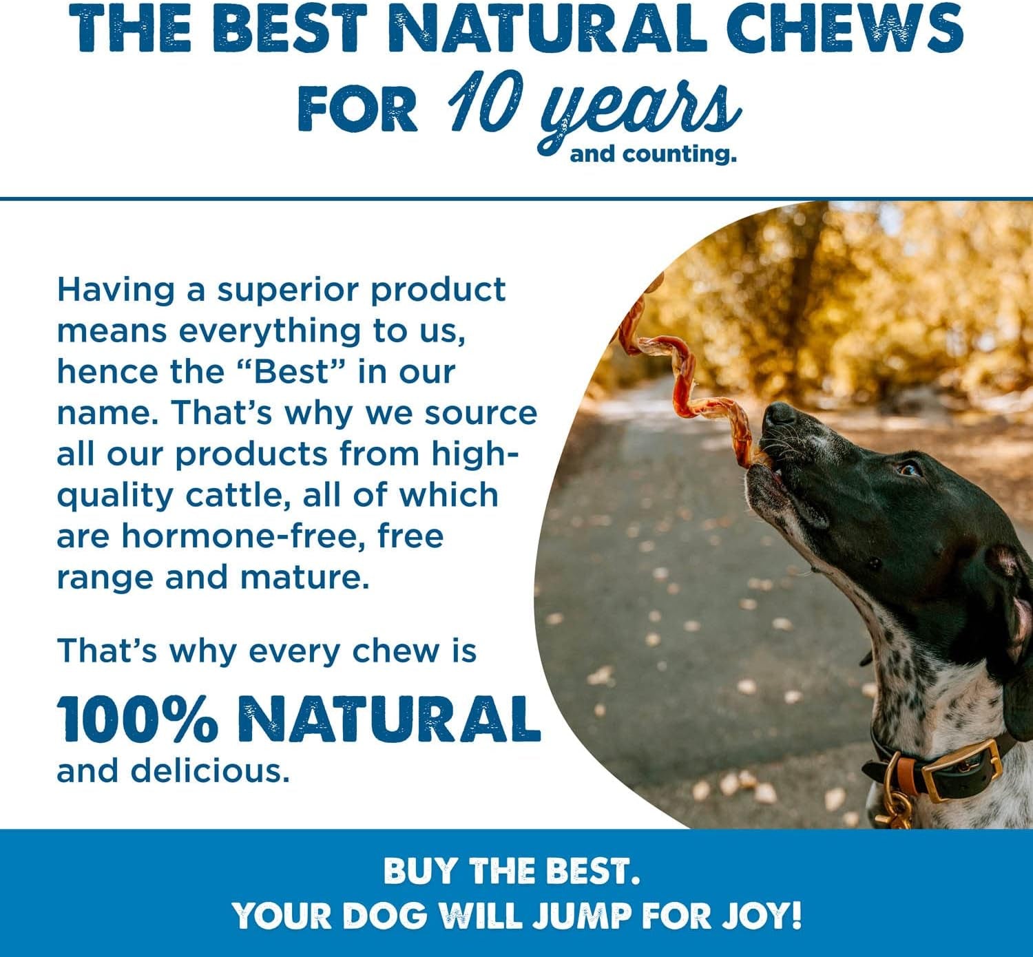 Best Bully Sticks Curly Beef Collagen Sticks - 5 Inch 10 Count (Pack of 1) - Natural, USA Baked and Packed, Easily Digestible, Limited Ingredient, Rawhide Alternative