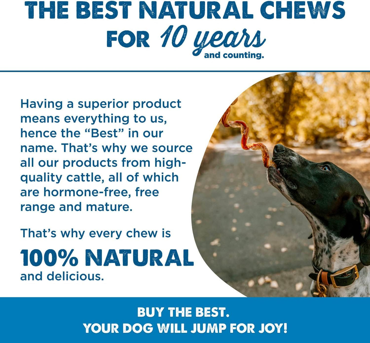 Best Bully Sticks Curly Bully Sticks - 5-6 Inch 12 Count (Pack of 1) - Natural, USA Baked and Packed, Easily Digestible, Limited Ingredient, Rawhide Alternative