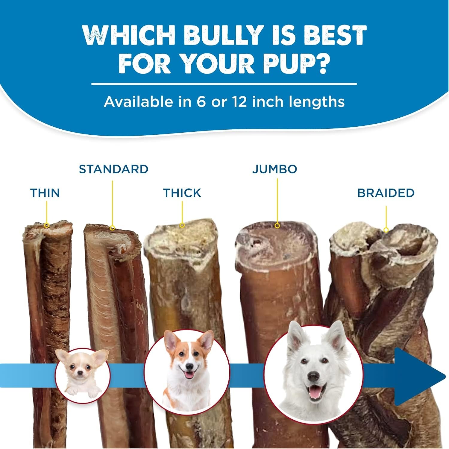 Best Bully Sticks Odor-Free Junior Bully Sticks for Dogs - 4-8 Inch 16 Oz (Pack of 1) - Easily Digestible, 100% Grass-Fed Beef, No Grain or Rawhide
