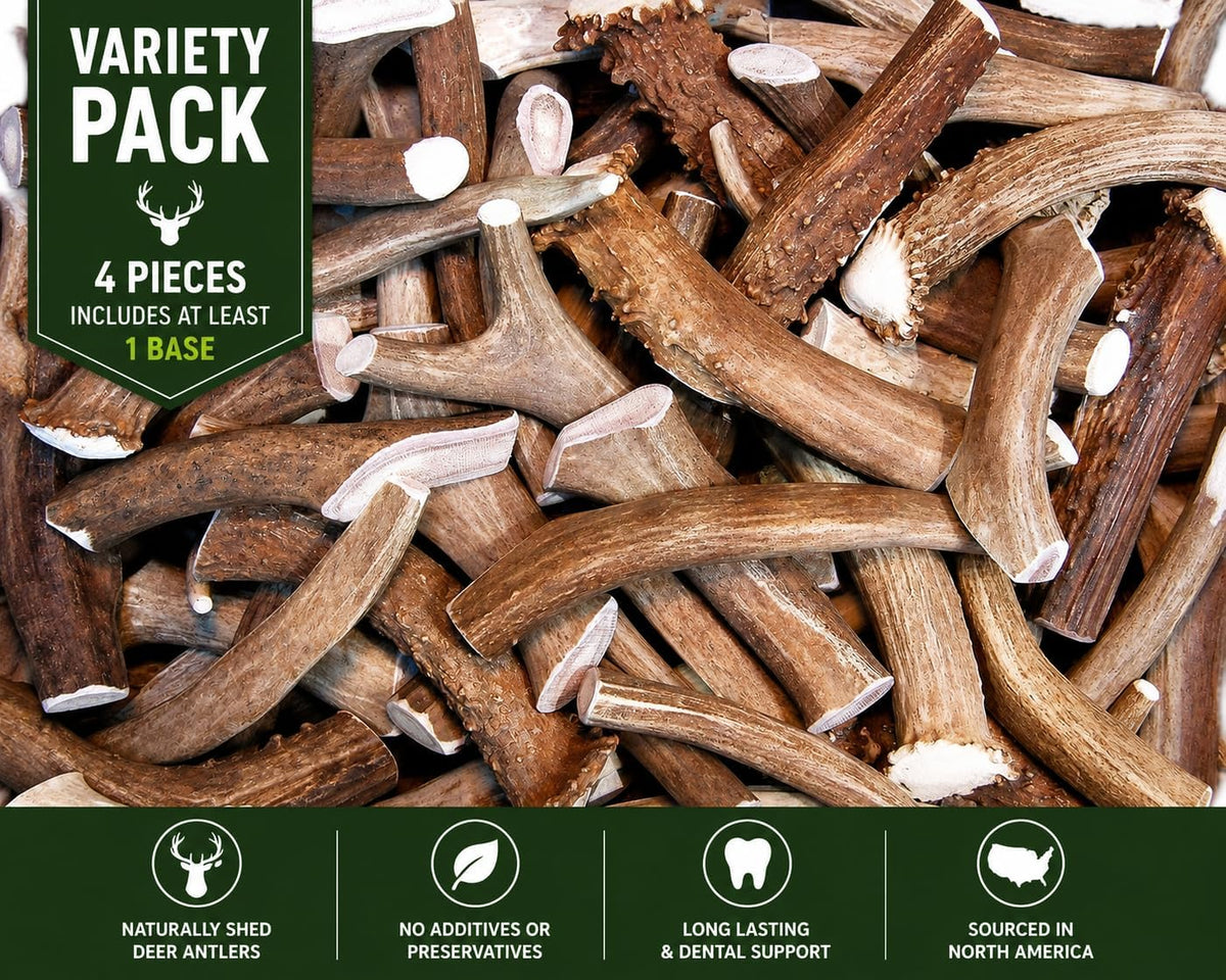 Premium Deer Antler Pieces - Dog Chews - Antlers by the Pound, One Pound - Six Inches or Longer - Medium, Large and XL - Happy Dog Guarantee!