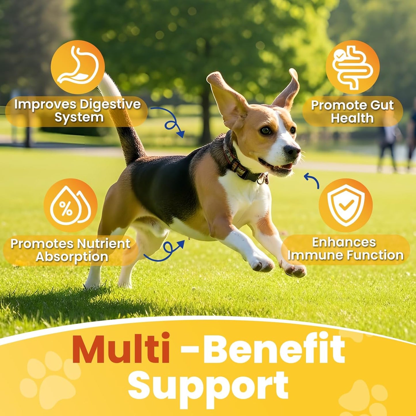 200 Count Probiotic Chew for Dogs-Probiotics Chews for Gut Digestive Health & Itchy Skin Support Relieve Diarrhea Enhance Immunity Breath Freshener with Enzymes Prebiotic Pumpkin-Chicken