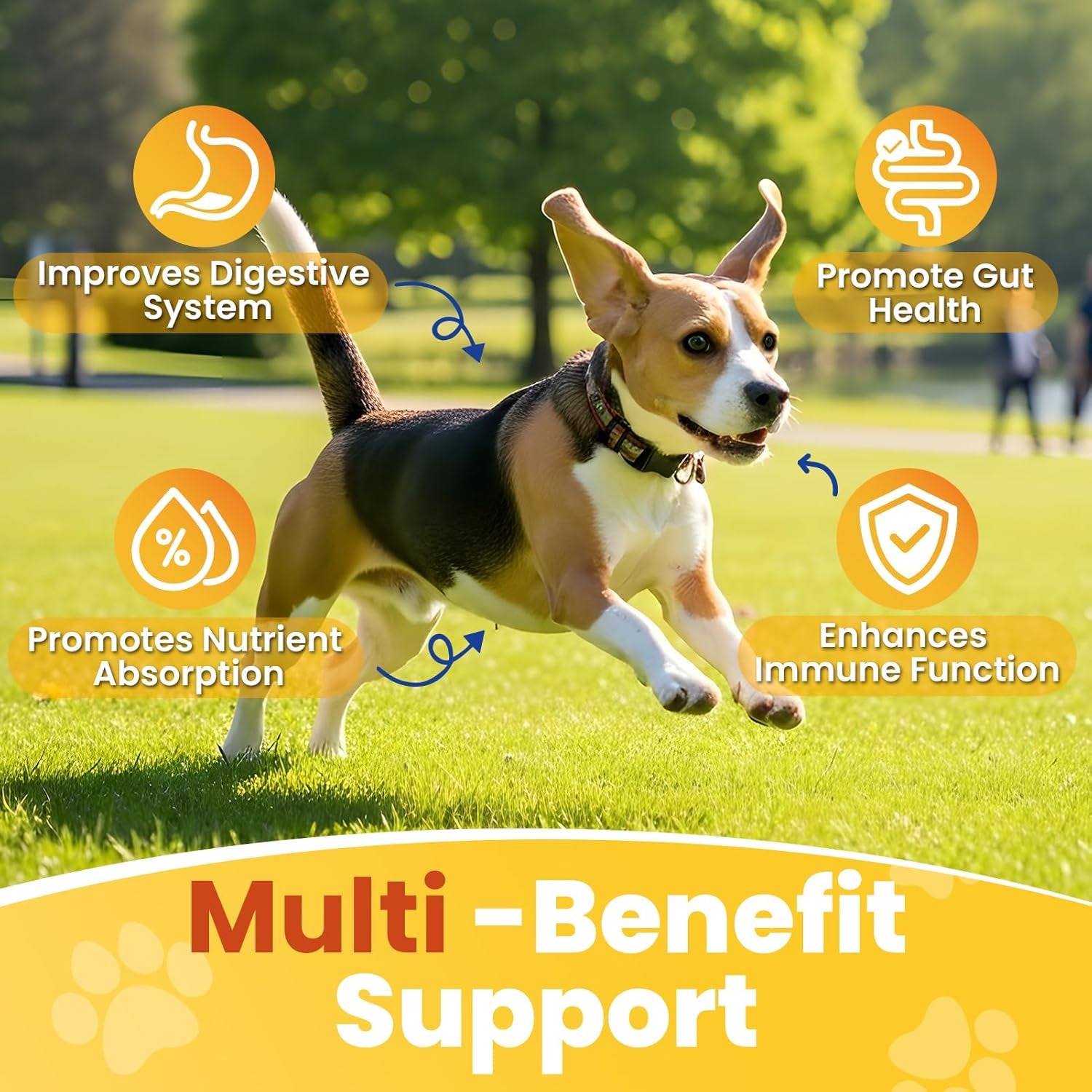 200 Count Probiotic Chew for Dogs-Probiotics Chews for Gut Digestive Health & Itchy Skin Support Relieve Diarrhea Enhance Immunity Breath Freshener with Enzymes Prebiotic Pumpkin-Chicken