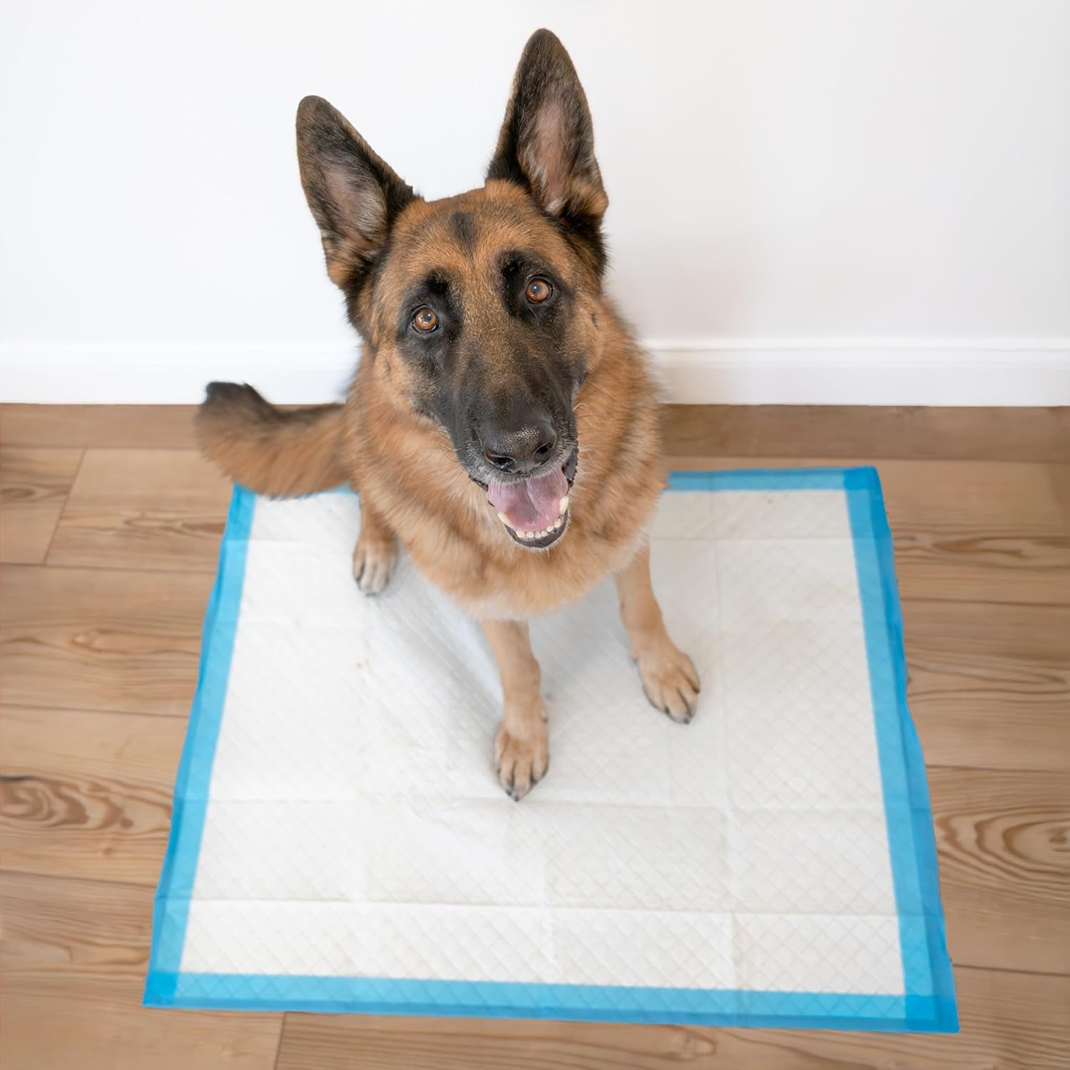 Four Paws Wee-Wee Superior Performance Unscented Extra-Large Pee Pads for Dogs & Puppies, Quilted Leak-Proof Dog Housebreaking Potty Training Floor Protection, 28" X 34", 40 Count