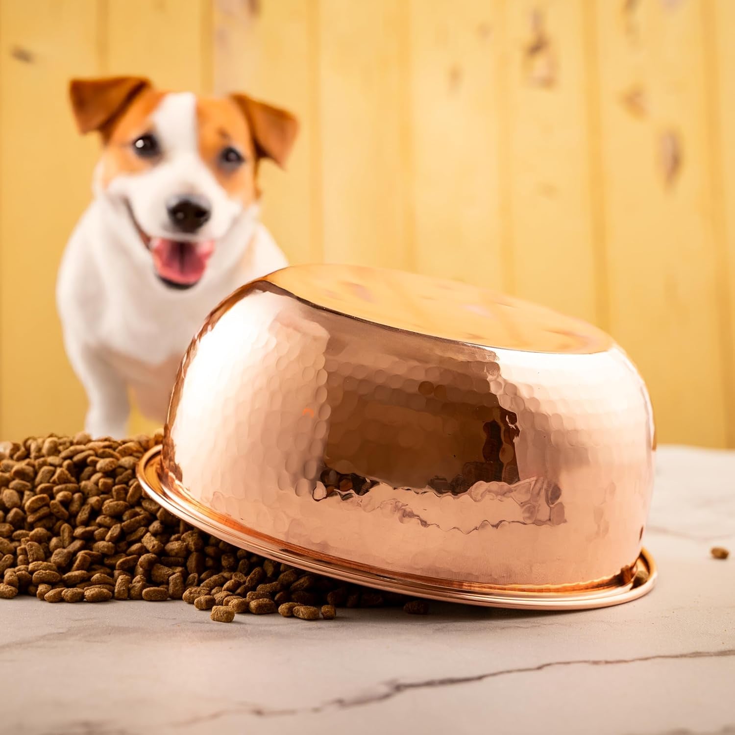 Hammered Copper Pet Bowl with Tin Lining, Small and Large Sizes, Luxury Style Premium Dog and Cat Dishes (Large)