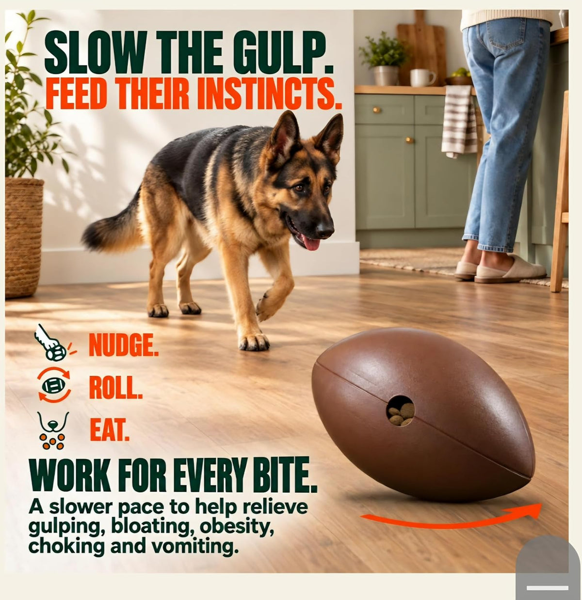 Food Puzzle Feeder for Large or Medium Dogs, 5C
