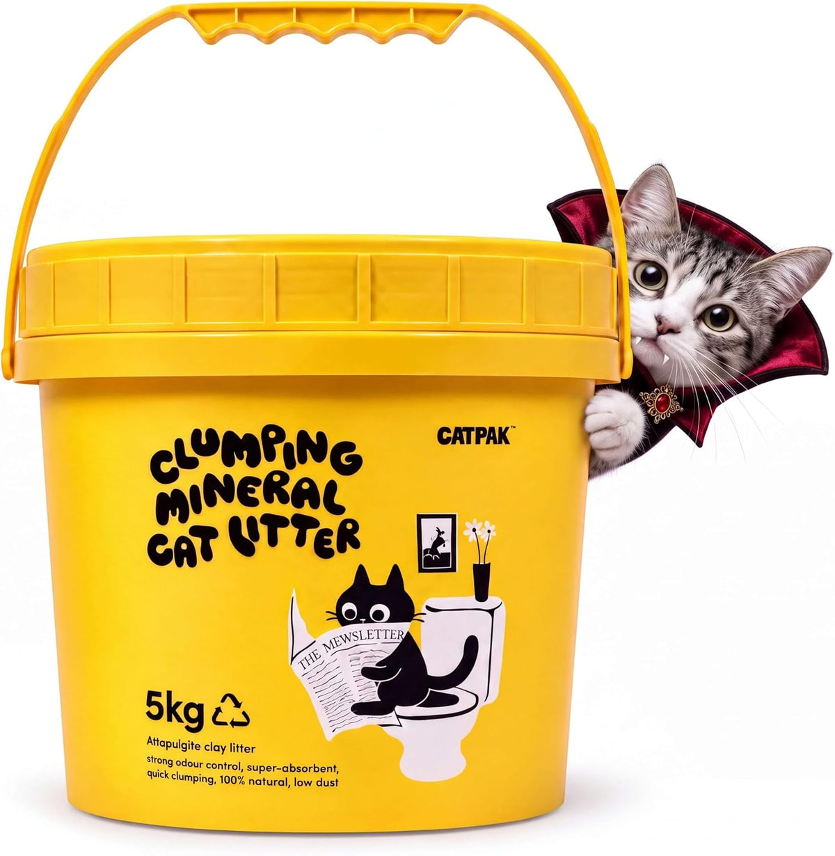 Dust Free Clumping Mineral Cat Litter, Unscented, Low Dust, 11.2 Lb