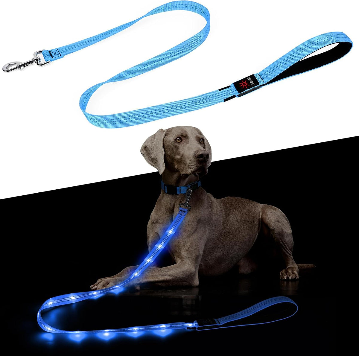Light up Dog Leash - 5 Ft LED Pet Leash Rechargeable Glow in the Dark Dog Rope Safety Dog Lights for Night Walking (Blue)