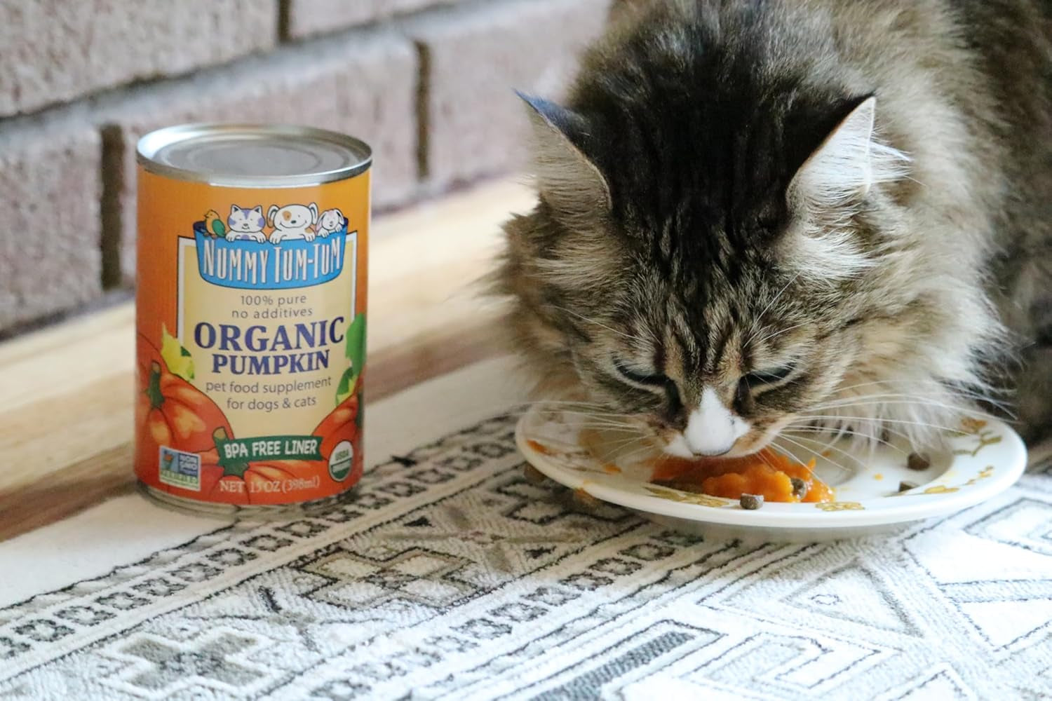 Nummy Tum Tum Organic Pumpkin for Dogs & Cats, 15 Ounce (Pack of 12)