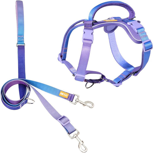 DF Freedom No Pull Martingale Dog Harness and Leash Set, Front Clip Adjustable Harness with Reflective & Padded Handle, Easy Walking & Training, Rainbow, 3/4", Chest 18.5" -25"