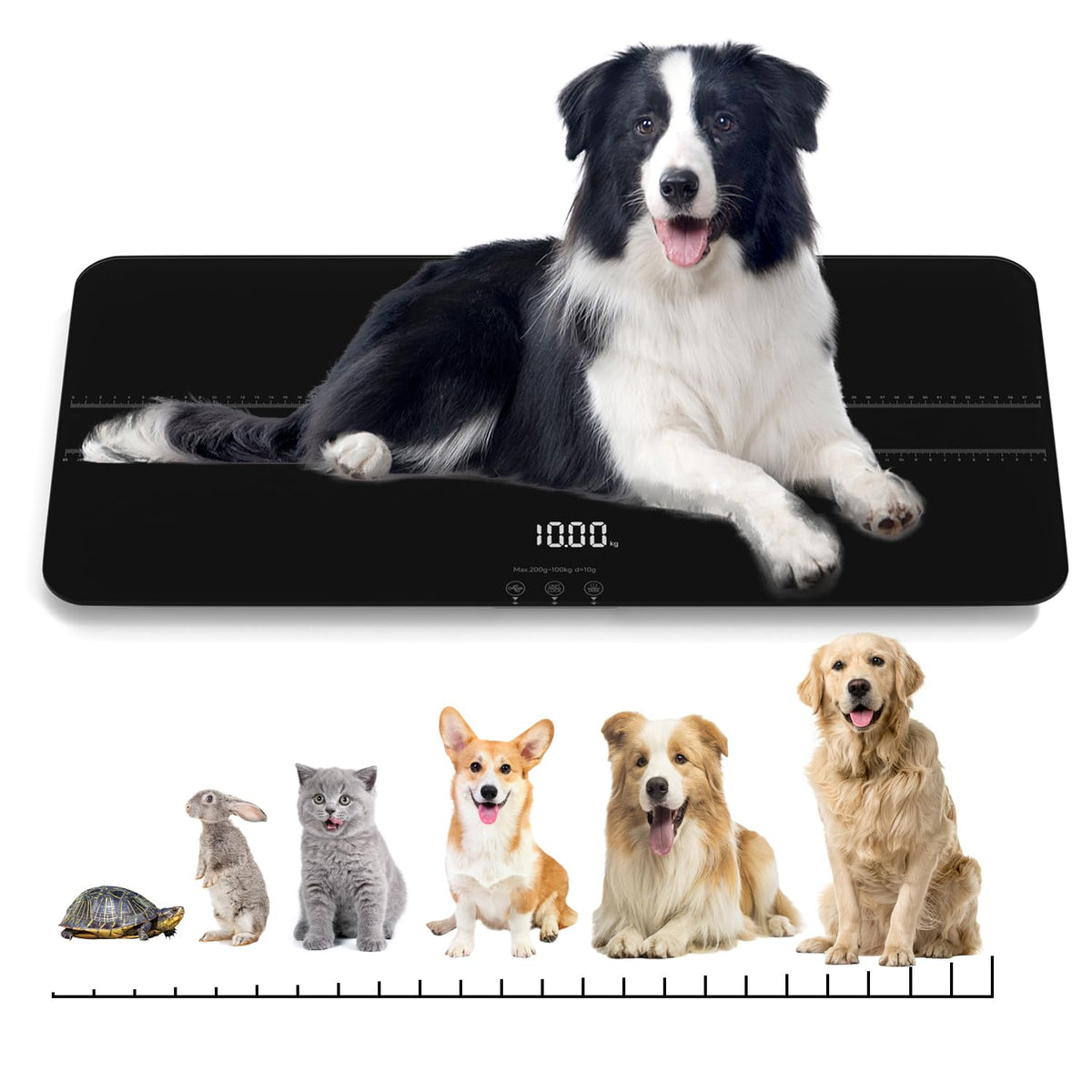Digital Pet Scale for Small-Medium Dogs/Large Cat, Measuring Range: 0.45Lbs-220Lbs, Not Suitable for Large Dogs