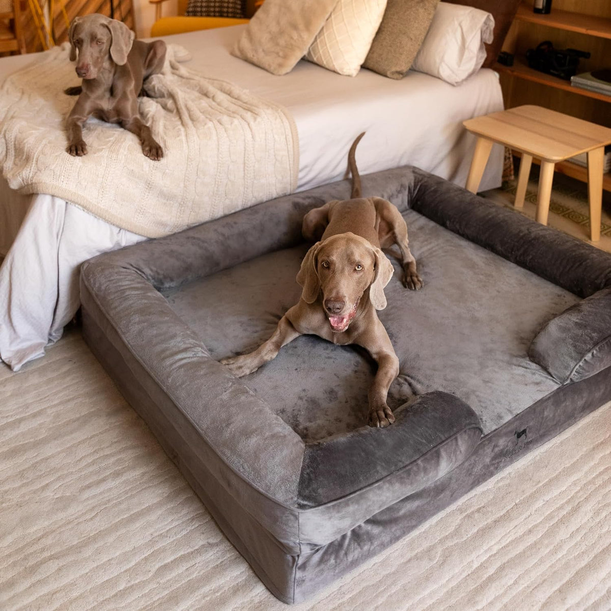 NOAH & PAW Giant Dog Bed XXL, 55X45X11 Inch, Orthopedic Dog Beds, Eggshell Memory Foam Infused with Cooling Gel, Inner Cover, Water Resistant, Machine Washable