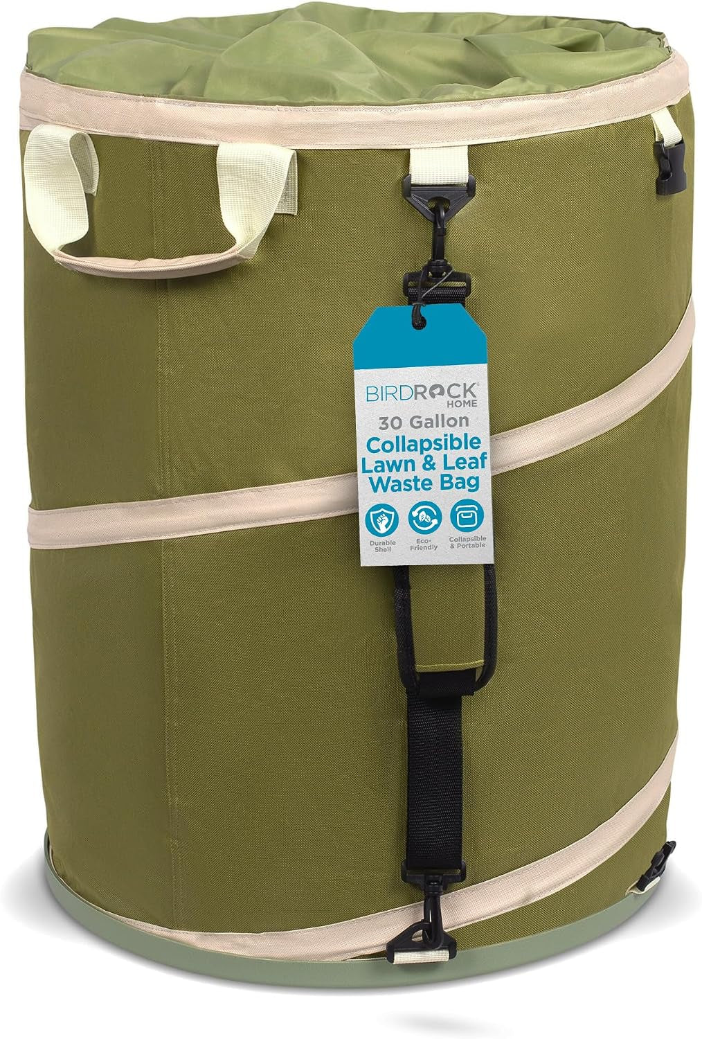 BIRDROCK HOME Collapsible Lawn and Leaf Waste Bag with Lid, Green, 30 Gal