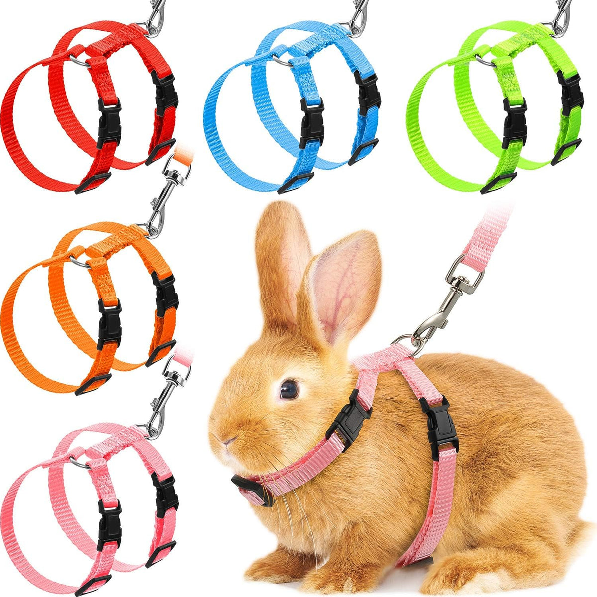 Outus 5 Pieces Adjustable Rabbit Harness and Leash Set, Fresh Color